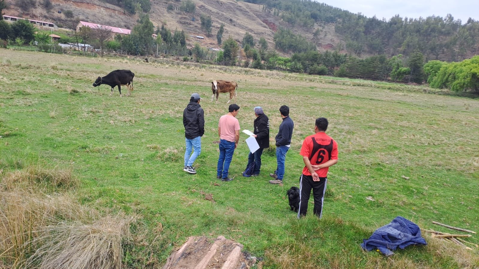 Lotes en San Sebastian y San Jeronimo